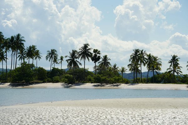 Uncover canterbury's secret gems: a mesmerizing guided journey through historic cathedrals awaits!